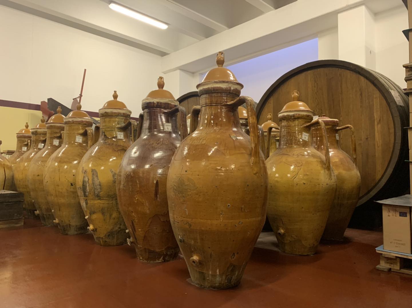 RADICI DEL SUD RESTARTS FROM NETHERLANDS ORANGE WINES AND MACERATED